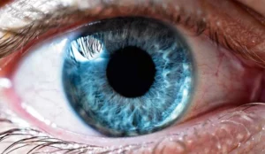 oeil iris